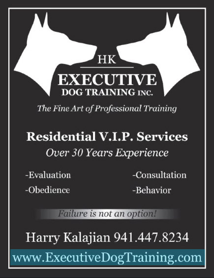 Englewood And South West Florida Dog Training Dog Training